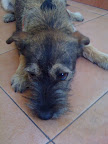 PRUE