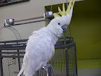 p1300354915(7).jpg