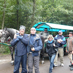 horses cart steve john w.jpg horses cart steve john w.jpg
