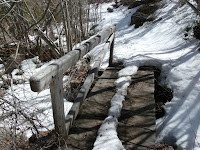 P1020428.JPG