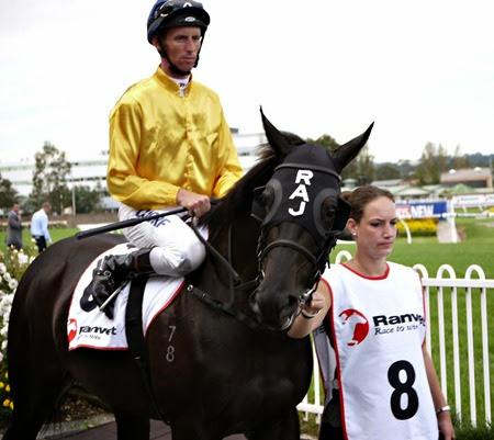 race 8 _silent achiever 2 race 8 _silent achiever 2