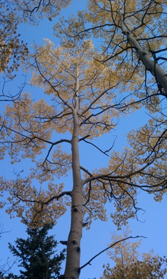 IMAG0377.jpg IMAG0377