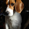 DSC00615.JPG