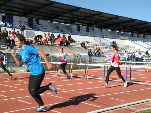 P1070699.JPG