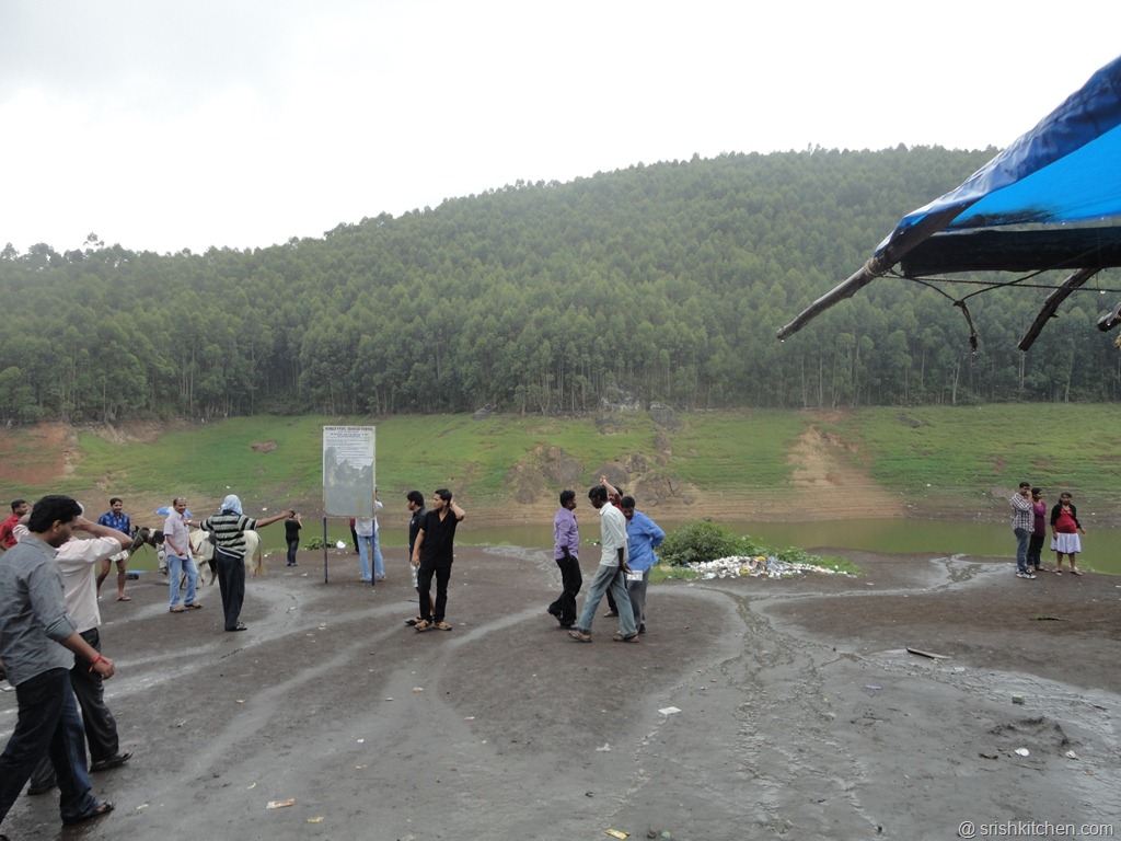 [munnar%2520tour%2520130%255B7%255D.jpg]