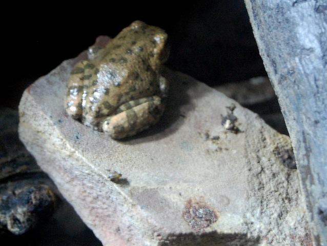 [aquarium3%255B2%255D.jpg]