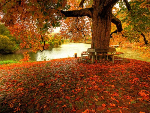 [tumblr_m2839bxT2x1qaxf8ko1_5005.jpg]