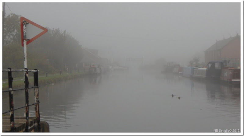 SAM_3704 Murky a Stanley Ferry