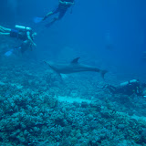 Marsa Alam