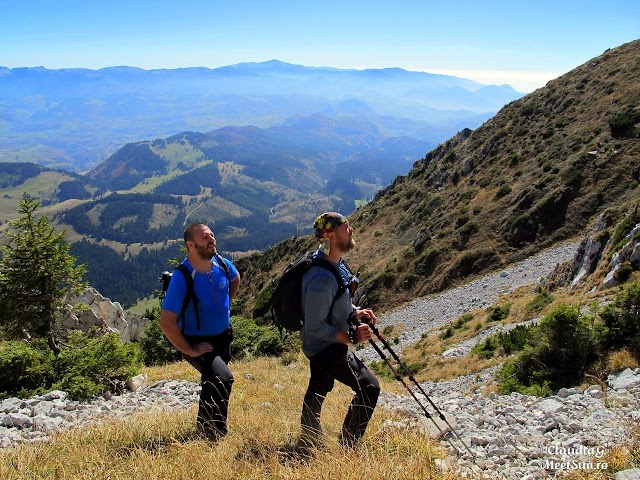 Piatra-Craiului-Martoi_1583.jpg