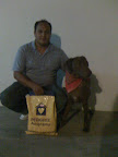 El es chocolate, un perrito que después de esperar mucho por ser un perrito grandote y un poco travieso, le llegó la oportunidad y vaya que es un perito afortunado!, ya que ahora vive en Mérida. Una historia mas que feliz!!
