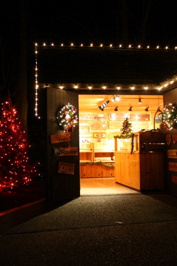 [Christmas-Town-0845.jpg]