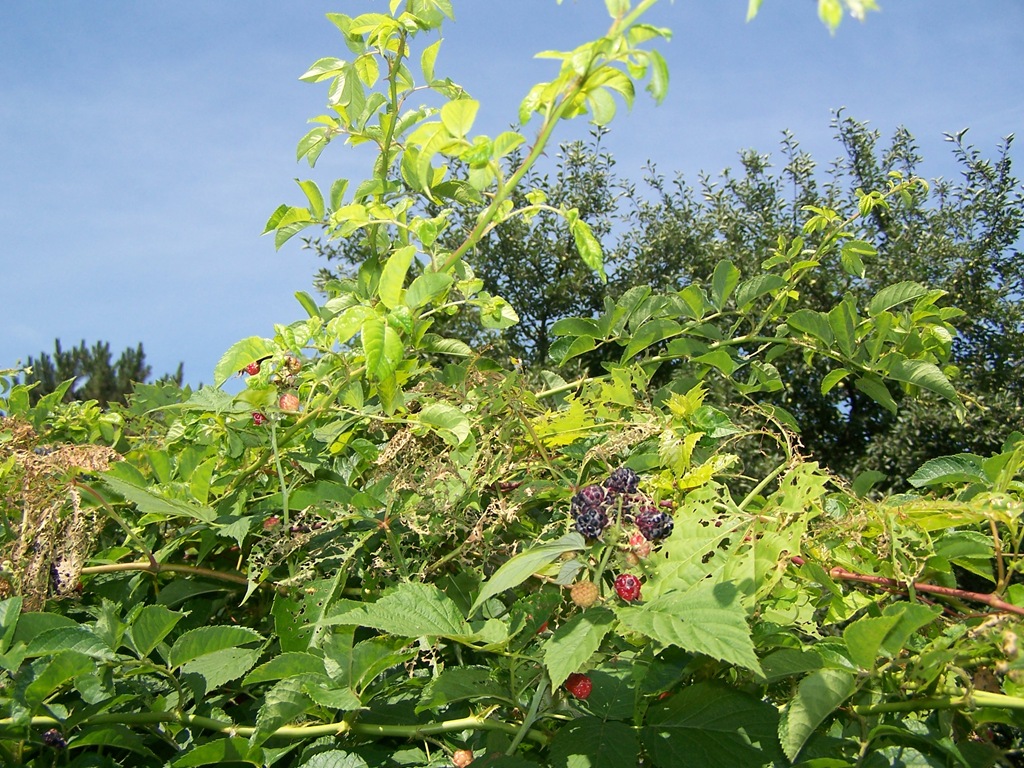 [100_2116%255B4%255D.jpg]