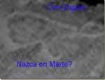 [Nazcaen%2520marte%2520150%255B2%255D.jpg]