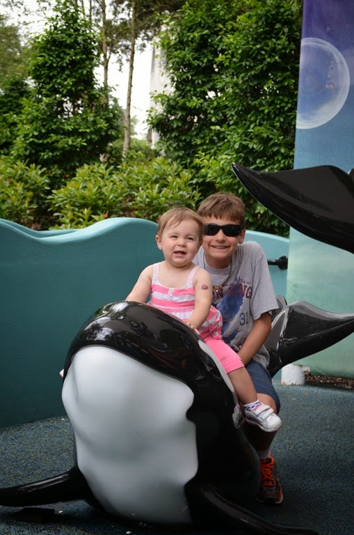 [DSC_8438%255B3%255D.jpg]