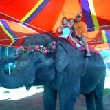 OC Fair 2009