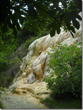DSCN2626 DSCN2626