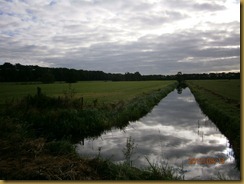 P9130010