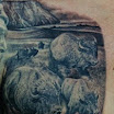 Bison Scene