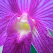 IMG_0464.jpg