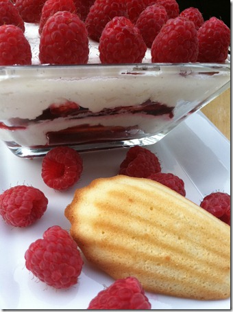 raspberry tiramisu 015