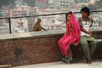 Couple and monkey at Swayambhunath