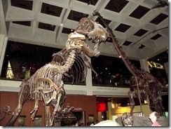 dino