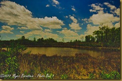 Marsh at Bombay Hook_D074955 Bombay Hook  May 09, 2011 NIKON D7000