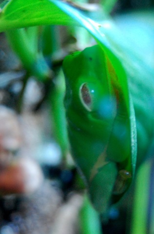 [aquarium23%255B2%255D.jpg]