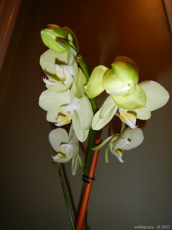 [DSCN6587%255B11%255D.jpg]