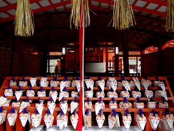 DSC00337 DSC00337
