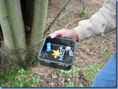 4991 Laurel Creek Conservation Area - the Septomaple Geocache