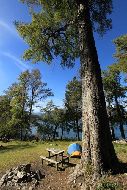 [IMG_2946%255B7%255D.jpg]