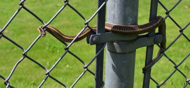 [DSC_0056%255B3%255D.jpg]