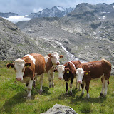 10.08.10 Rifugio Roma Riva di Tures - Kasseler Hütte Rein in Taufers