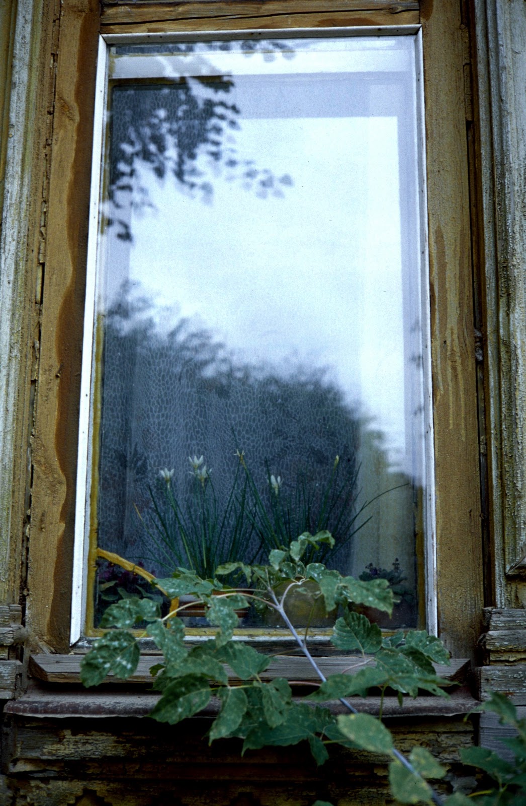 [550%2520arrimando%2520a%2520la%2520ventana%255B6%255D.jpg]