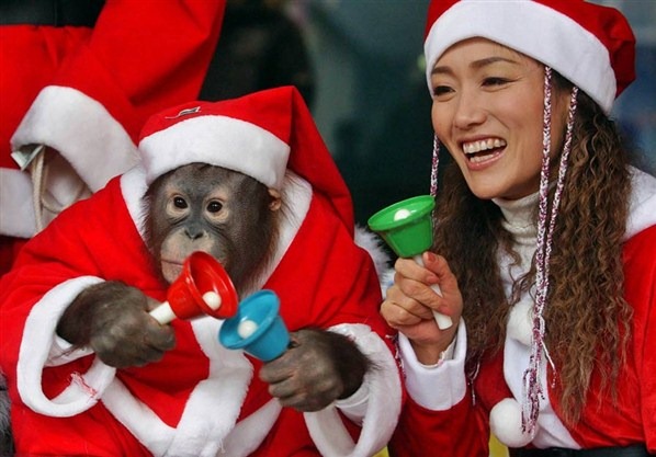[Cute-Christmas-Creatures-20%255B2%255D.jpg]