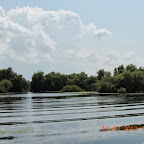 DSCN3003.JPG