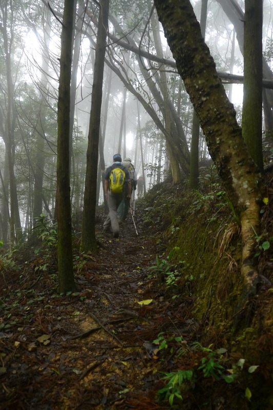2013_0413 橫嶺山木馬古道_008 2013_0413 橫嶺山木馬古道_008