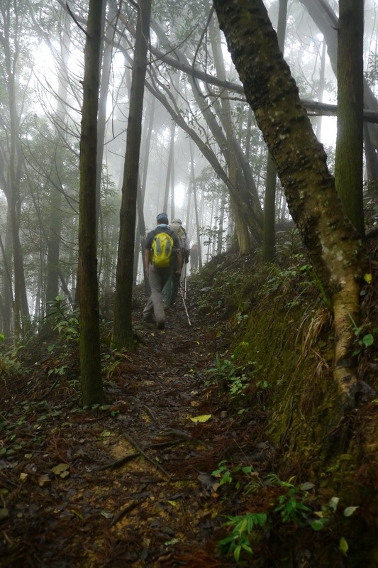 2013_0413 橫嶺山木馬古道_008