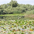 DSCN3075.JPG