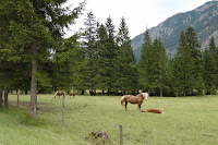 GER0-11_MW_010.JPG