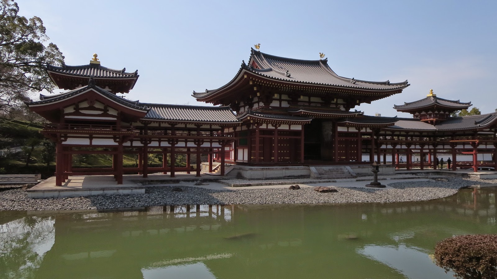 [IMG_2228%255B3%255D.jpg]