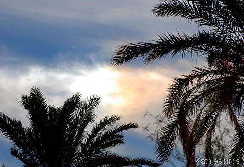 5. sundog-kab 5. sundog-kab