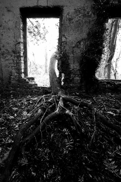 [Nettleham-Hall-22%255B4%255D.jpg]