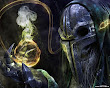 Amazing Wicca