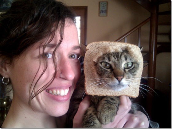 breaded-cats-10
