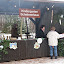 waldweihnacht 2010 103.jpg