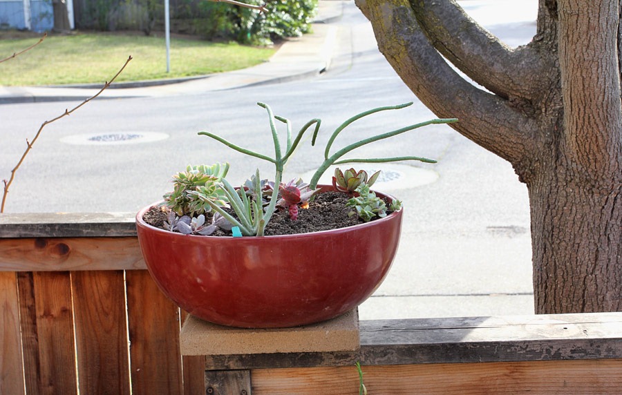 [120225_repotting_29%255B2%255D.jpg]