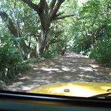 Hawaii 2006 - Waipio Valley